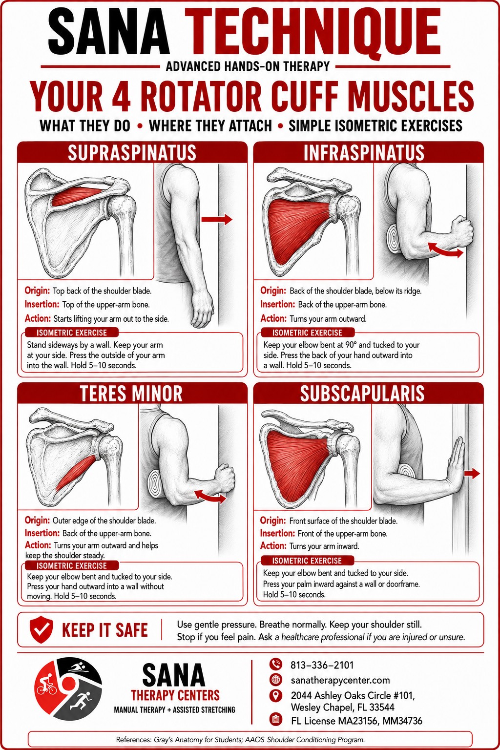 Guide to the supraspinatus, infraspinatus, teres minor, and subscapularis muscles with simple isometric exercises